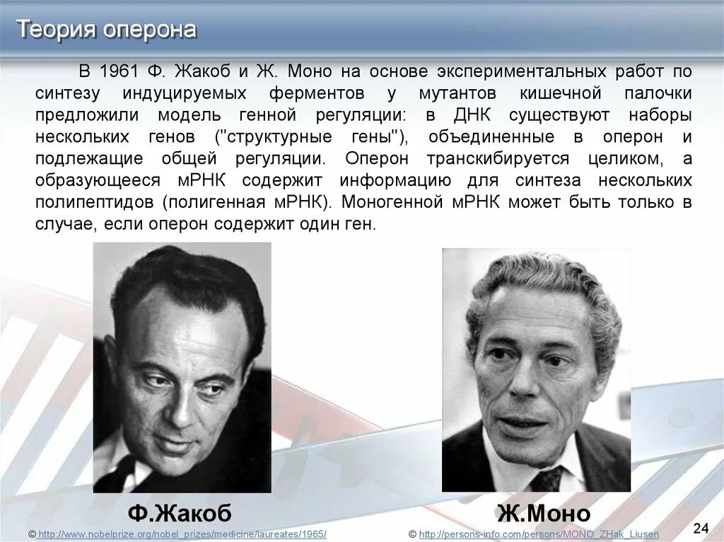 Стр моно. Франсуа жакоб и жак моно. а м львов ф жакоб ж л моно. 1961 жакоб и моно. жакоб и моно теория.