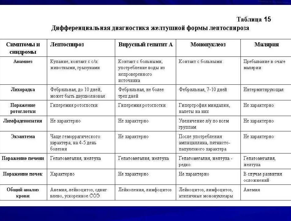 Лептоспироз и гепатит дифференциальная диагностика. Дифференциальная диагностика желтух при вирусных гепатитах. Дифференциальная диагностика желтух инфекционные болезни. Дифференциальный диагноз гепатита и лептоспироза.