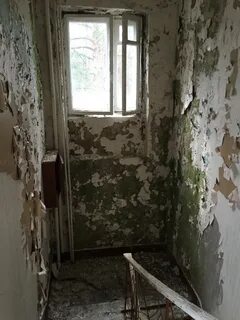 Туберкулезная выборг