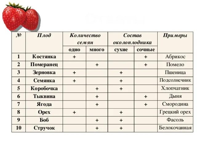 Дыня падежи. Таблица по биологии 6 класс тема плоды. Название плода Тип плода сочный. Плоды классификация плодов таблица. Типы плодов растений таблица.