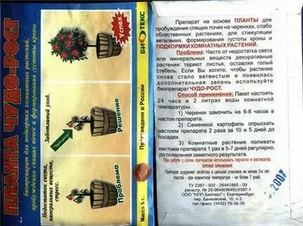 Планта перевод