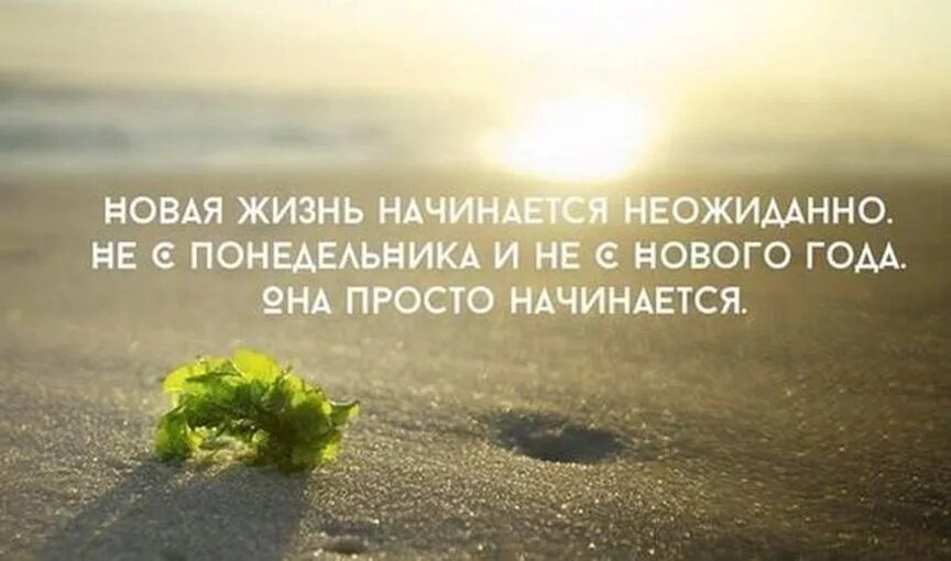 Неожиданные цитаты. Начало новой жизни цитаты. новая жизнь цитаты. начинаю новую жизнь цитаты. статусы про жизнь новые.