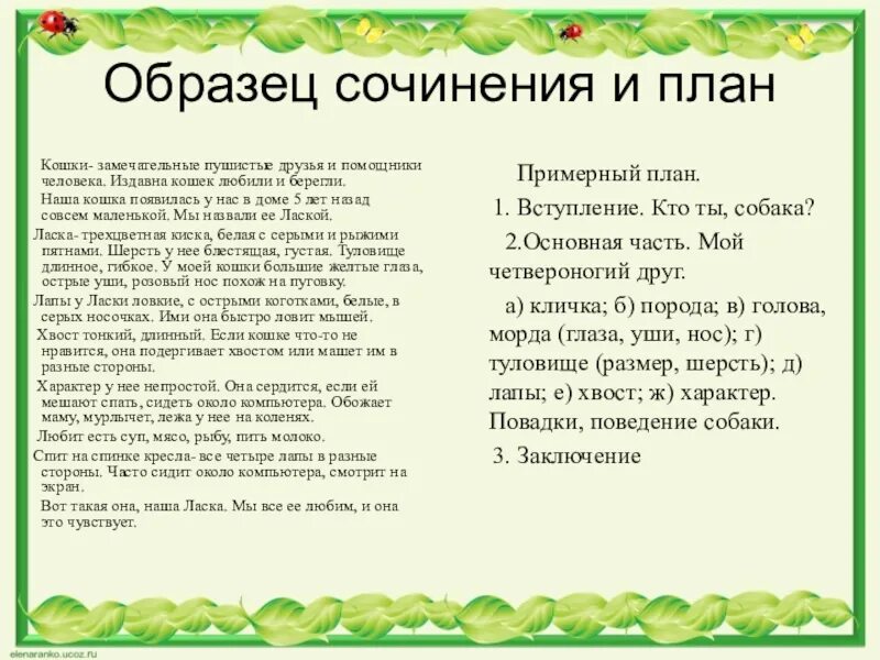 Сочинение. Сочинение описание животных. Сочинение описание про животное. Сочинение на тему описание животного. Текст к году семьи