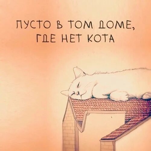 Флёр тёплые коты. Теплые коты обложка. Тёплые коты Flёur обложка. Fleur тёплые коты альбом.