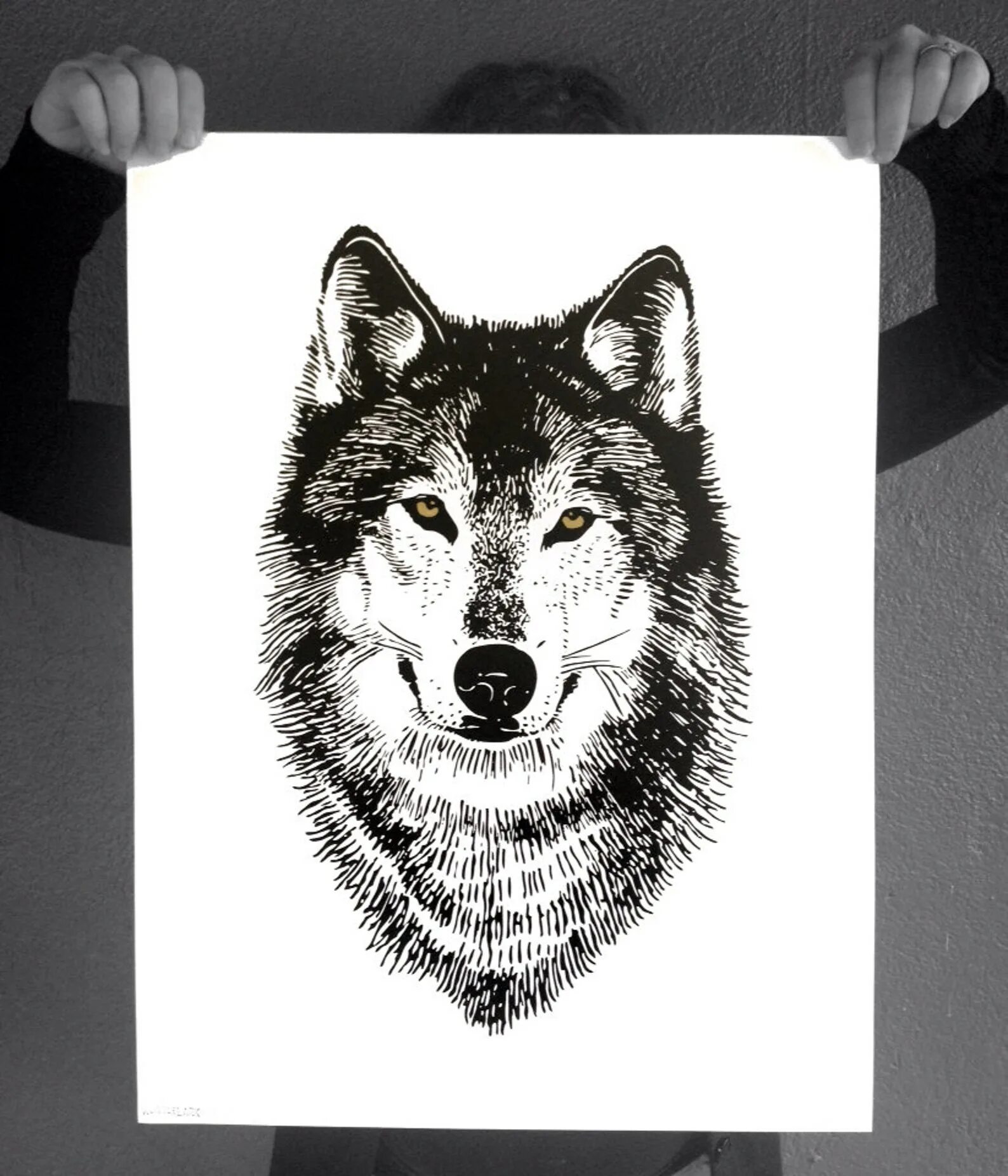 Постер с волком. Волк гравюра. Волк для гравировки. Морда волка для гравировки. Волк гравировка эскиз.