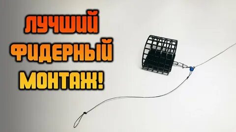 Инлайн курсы