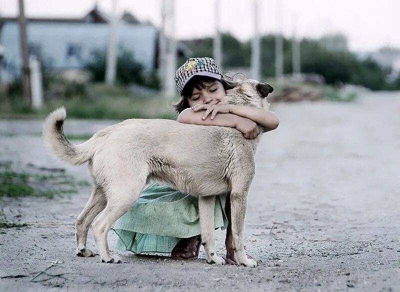 Люди бескорыстно помогающие другим. О доброте. Любовь к животным. Добрый люди и животгые. Доброта к животным.