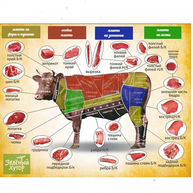 Части говядины. Части говядины названия. Нежирная часть говядины. Отрубы говядины.
