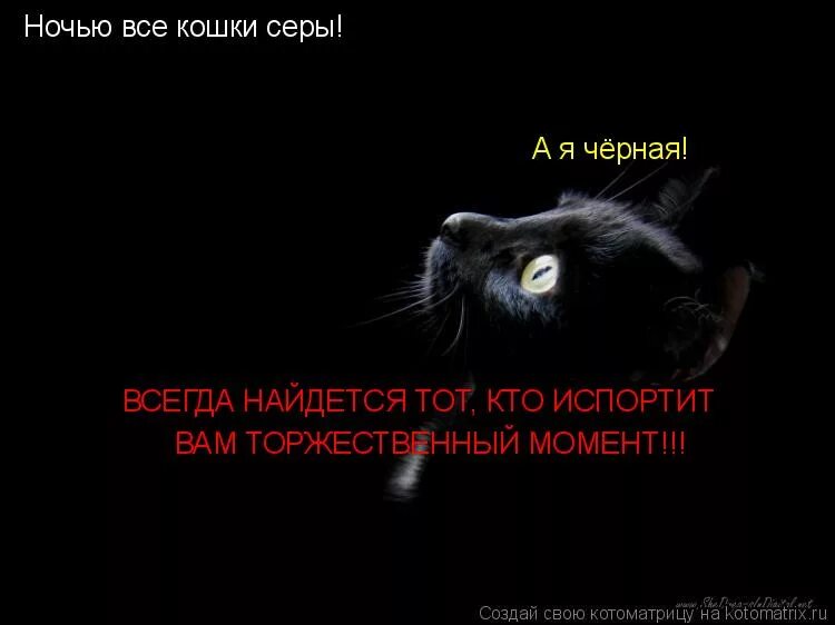 Черное не всегда белое. Ночью все кошки серы. Ночью все кошки серые. Пословица ночью все кошки серые. Почему ночью все кошки черные.