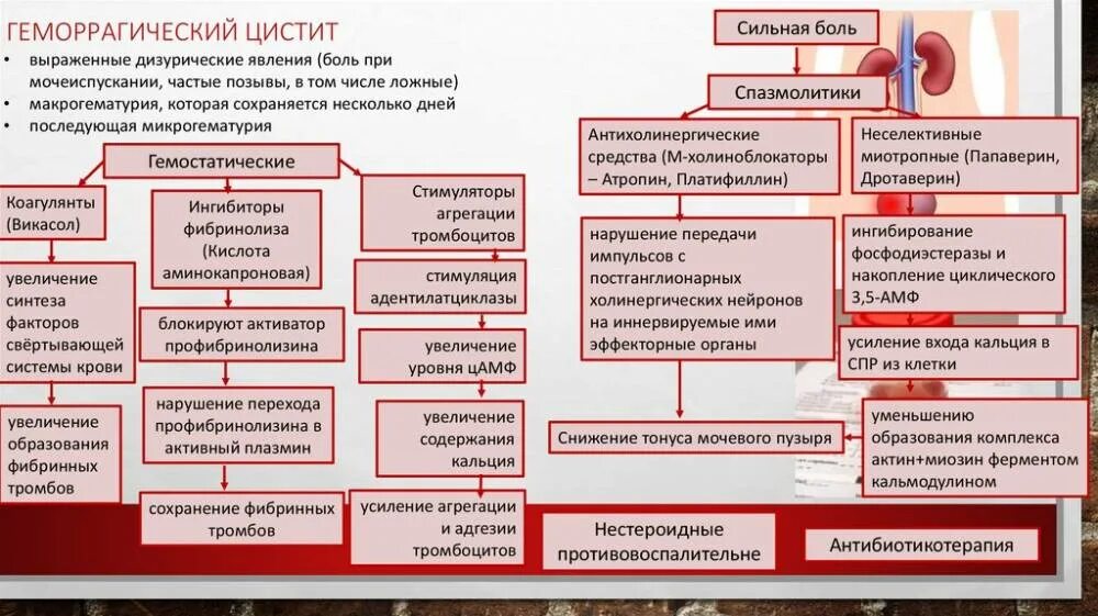 Геморрагический цистит. Геморрагический цистит причины. Геморрагический цистит симптомы. Препараты при геморрагическом цистите. Что делать при цистите быстро