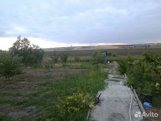 Погода ростовской области весело вознесенка. Село весело Вознесенка Ростовская область. Село весело Вознесенка Таганрог. Село весело-Вознесенка Неклиновский район Ростовская область. Весело Вознесеновка Неклиновского района.