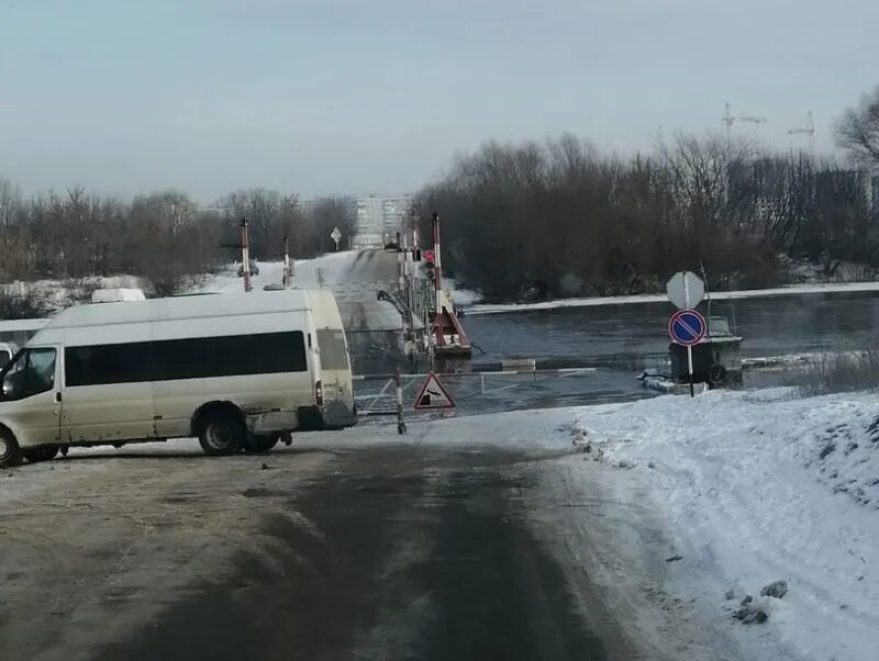 Мост шилово гремячье сейчас. Понтонный мост Новоживотинное. Понтонный мост Шилово Воронеж. Новоживотинное Воронежская область Понтонный мост. Новогремяченское Воронежская область.