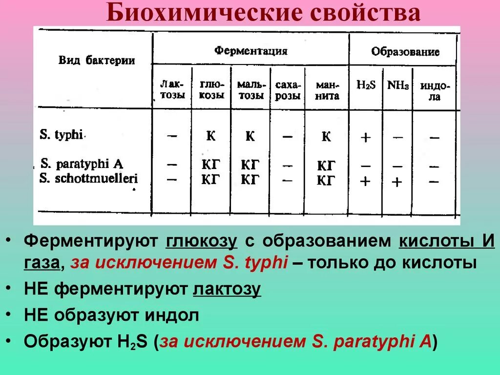 Сальмонеллез биохимические свойства. Биохимические свойства сальмонелл. Биохимические свойства. Возбудитель брюшного тифа биохимические свойства. Сахаролитическая активность бактерий