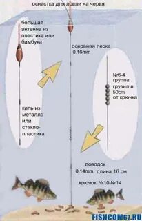 Поплавочная удочка на окуня с берега