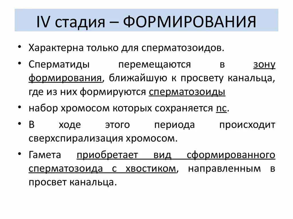 Прогенез этапы. 3 Стадии онтогенеза. Прогенез кратко. Прогенез это в биологии. Какие же этапы становления проходит новый человек