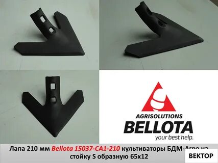 Беллота