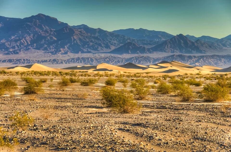 Beautiful desert