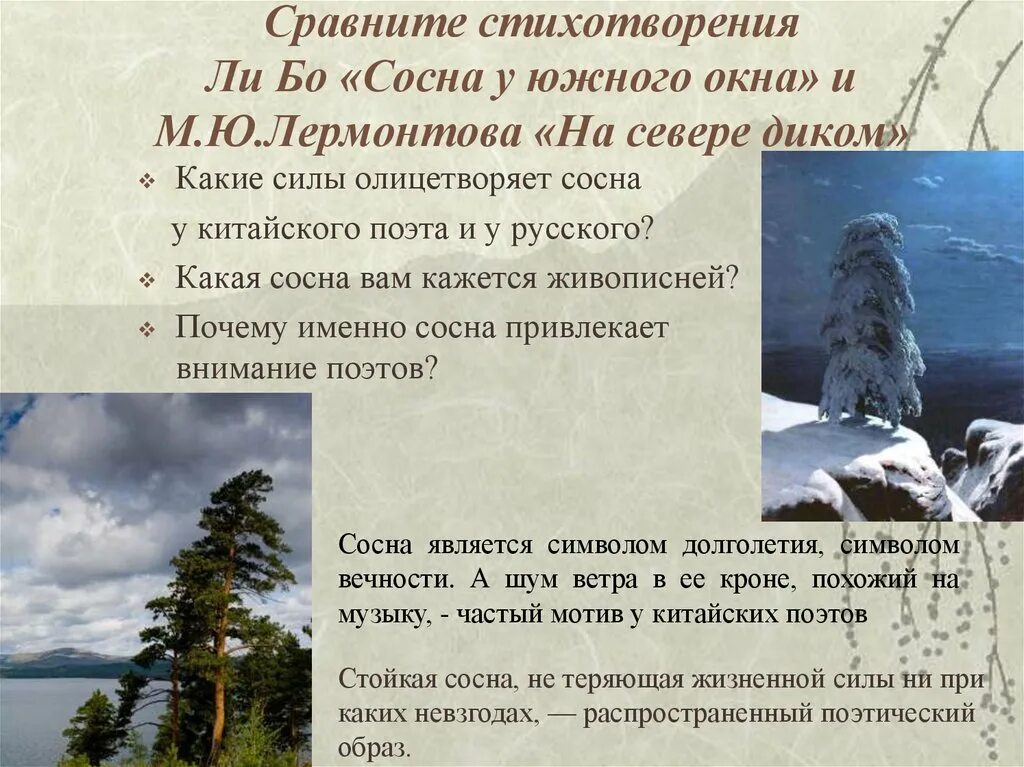 В каких стихотворениях используется сравнение. Сосна Лермонтов. Стих Лермонтова на севере диком текст. Стих сосна на севере диком. Сравнение в стихах.