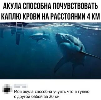 Умей чувствовать