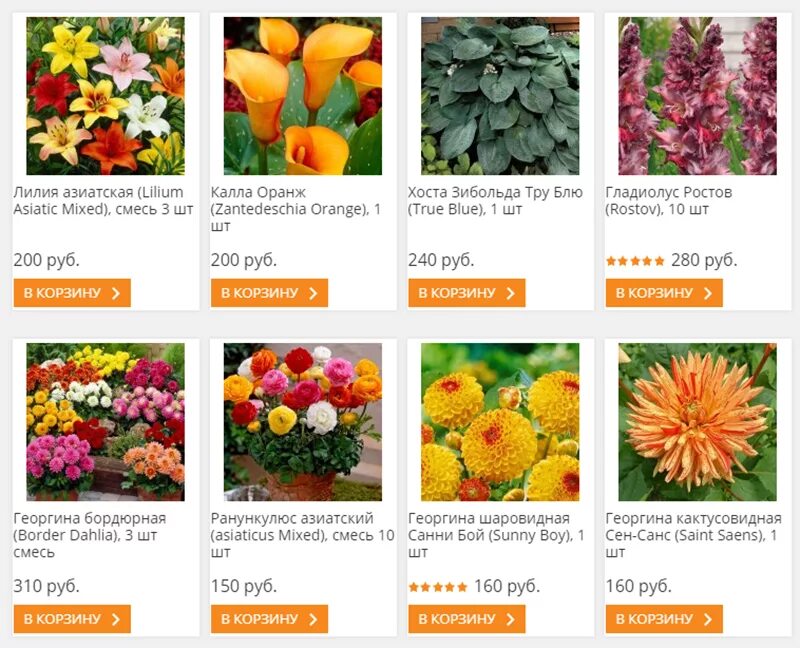 Интернет магазин растений. Магазин цветов и семян. Семена-почтой интернет магазин. Интернет-магазин семян и растений.