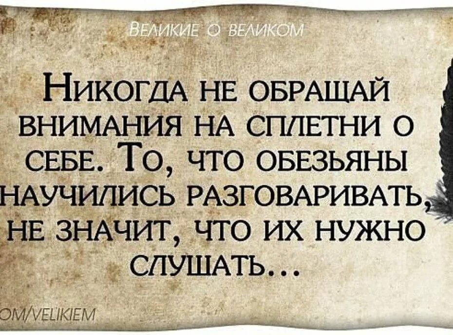 Девиз по жизни. Цитаты про автомобили. Никогда не было жизни мужчин. Если любишь отпусти цитаты. Никогда не мстите подлым.