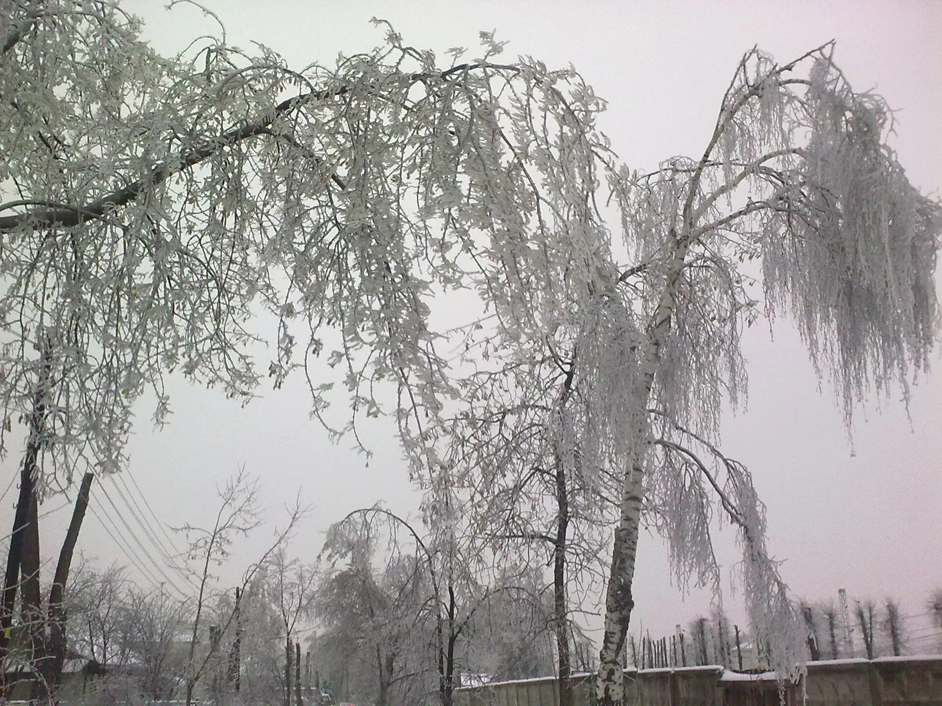 Сильный дождь в лесу. Дождь в живописи. Картины художника олега токарева. Пейзажи городских улиц. Живопись прогулка под дождем.