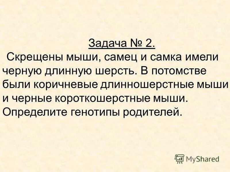 при скрещивании белых и черных мышей получаются черные. скрещенные мыши самец и самка имели черную длинную шерсть. двух черных самок мыши скрещивали с коричневым самцом. межаллельные взаимодействия генов. при скрещивании белых и черных мышей получены серые.