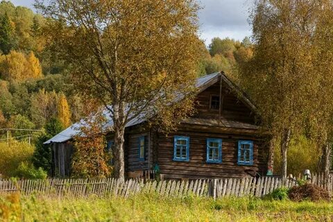 Родительский дом дзене канал