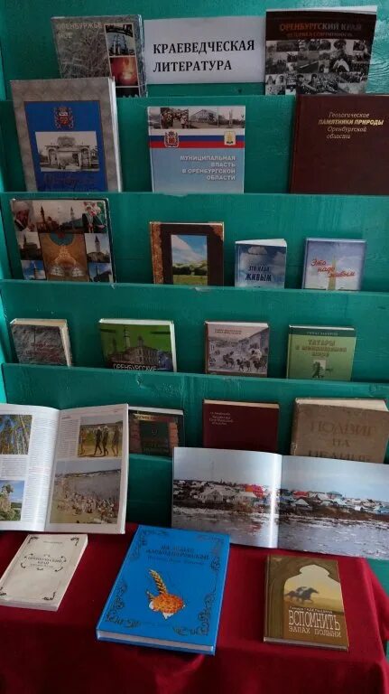 Библиотека аксакова. Литературно краеведческий час. Литературно краеведческий час. Литературно краеведческий час. Краеведение для детей.