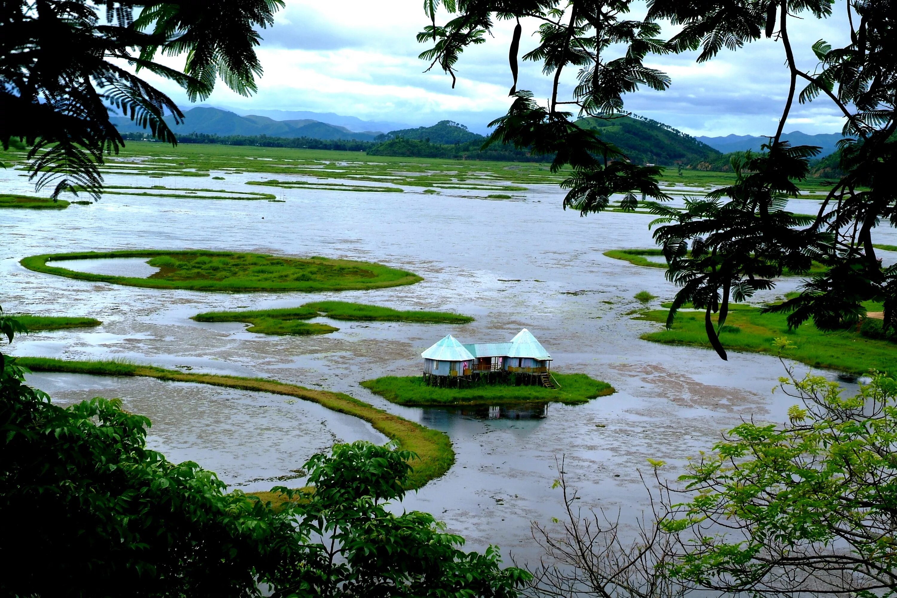 Остров на озере которое находится на острове. Озеро Локтак в Индии. Плавучие острова. Озеро Локтак. Плавучие острова Пхумди. Штат Манипур.