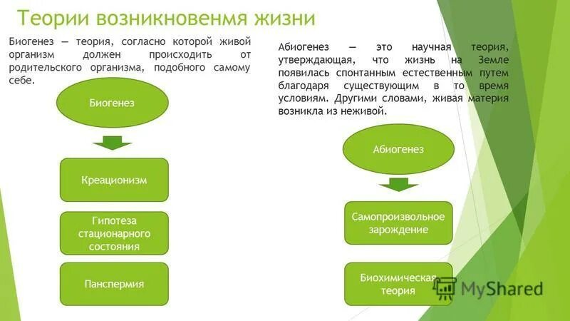 Гипотезы происхождения жизни на земле биогенез