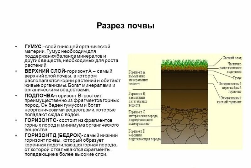 Органические свойства почвы. Строение почвы подвесные горезонты. Слои почвы и почвенный Горизонт. Строение почвы гумусовый Горизонт. Строение почвы почвенные горизонты.