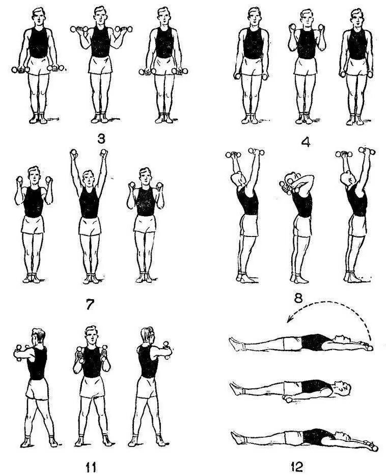 Упр с гантелями. Комплекс упражнений с гантельками. Комплекс упражнений с гантелями (10-12 упражнений). Комплекс упражнений для рук с гантелями. Упражнения с гантельками для женщин.