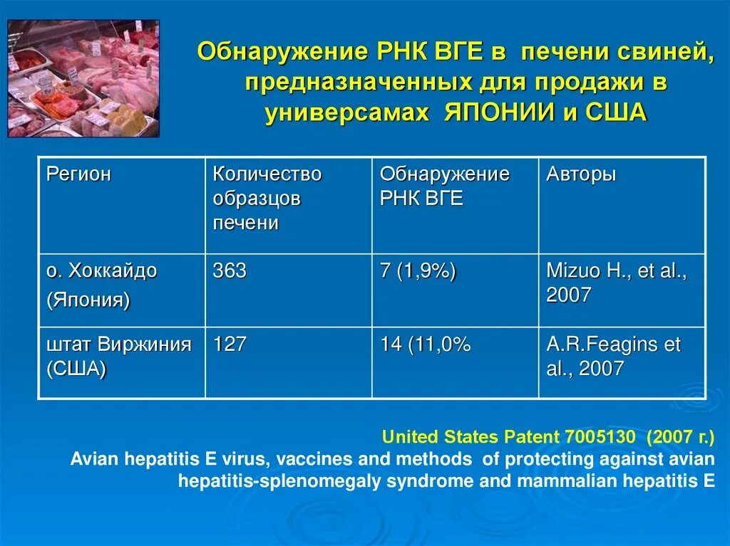 РНК гепатита с. Вирусный гепатит е. Су вирусные гепатиты е реферат.