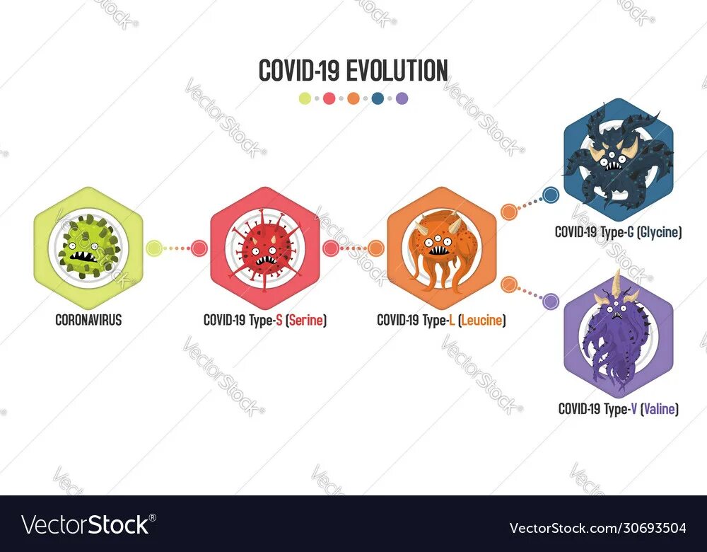 Мутации вируса коронавируса. Эволюция вирусов. Виды штаммов коронавируса. Вирус коронавирус Эволюция. Коронавирус какие штаммы