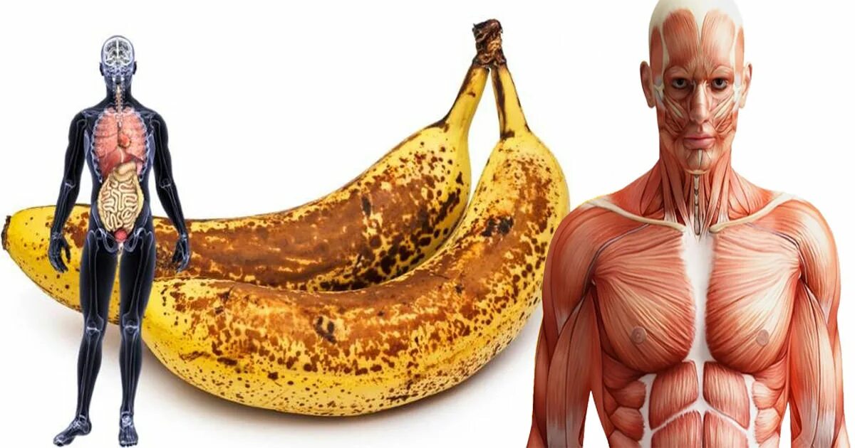 Eat the Brown Part of this Banana. Как выглядели бананы до вмешательства человека. Взрыв банана. If you eat too many