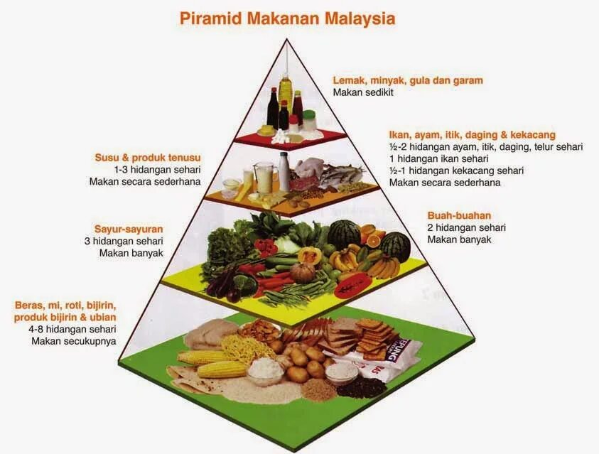 полезная еда на английском. пирамида питания на английском языке. британская пирамида питания. правильное питание английский язык. пирамида правильного питания на английском языке.