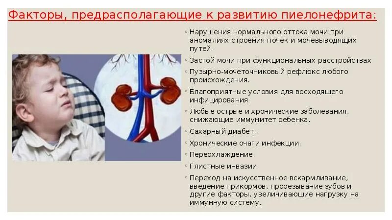 Заболевания почек и мочевыводящих путей. Факторы пиелонефрита у детей. Факторы развития пиелонефрита. Причины развития пиелонефрита у детей.