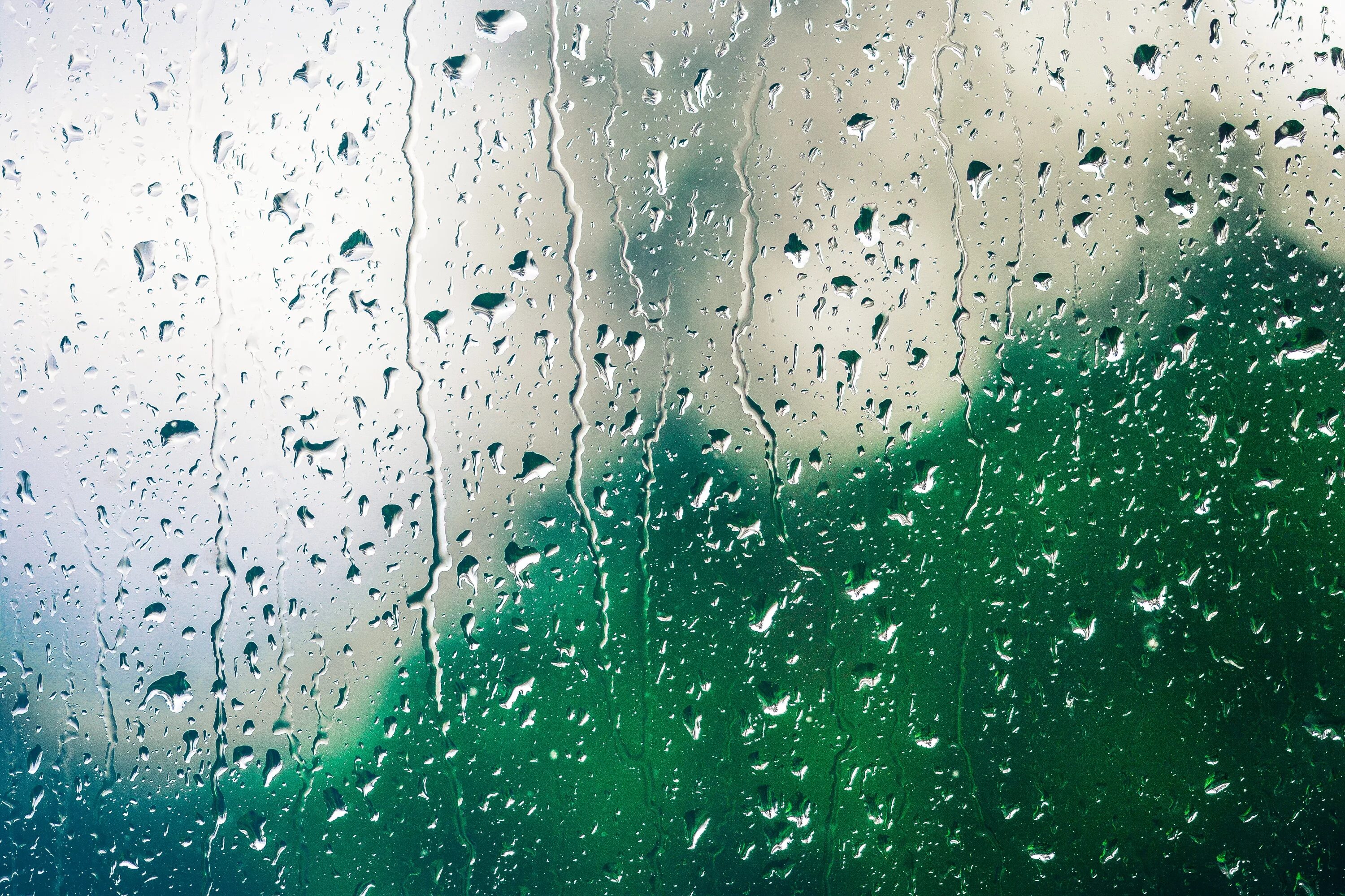 Filter window