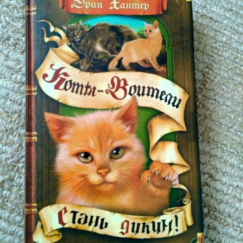 Стань диким! Эрин Хантер книга. Эрин Хантер Стань диким огонь и лед. Огонь и лёд Эрин Хантер книга. Коты Воители Золотая коллекция Стань диким и огонь и лед. Аудиокнига стань диким