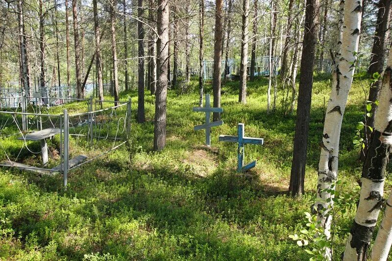 Остров Могильный Дубна. Остров Могильный на Иваньковском водохранилище. Могильный (остров, губа ура). Московское море остров Могильный. Остров могильный