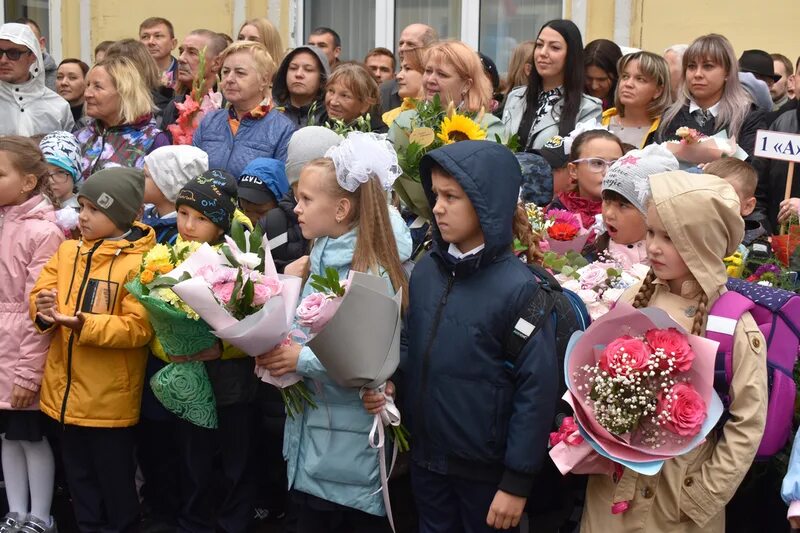 Школа 41 Череповец. 29 Школа Череповец. День знаний фото. Директор 41 школы Череповец. Школа 29 череповец