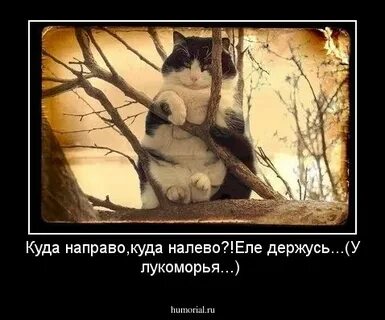 Еле выдержала