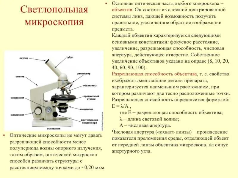 Какую часть выполняет тубус. Схема работы оптического микроскопа. Оптическая схема инвертированного микроскопа. Схема действия оптического микроскопа. Оптическая схема электронного микроскопа.