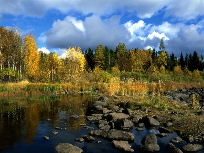 Водлозерский парк сайт