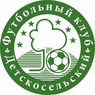 Детскосельская витебский на сегодня