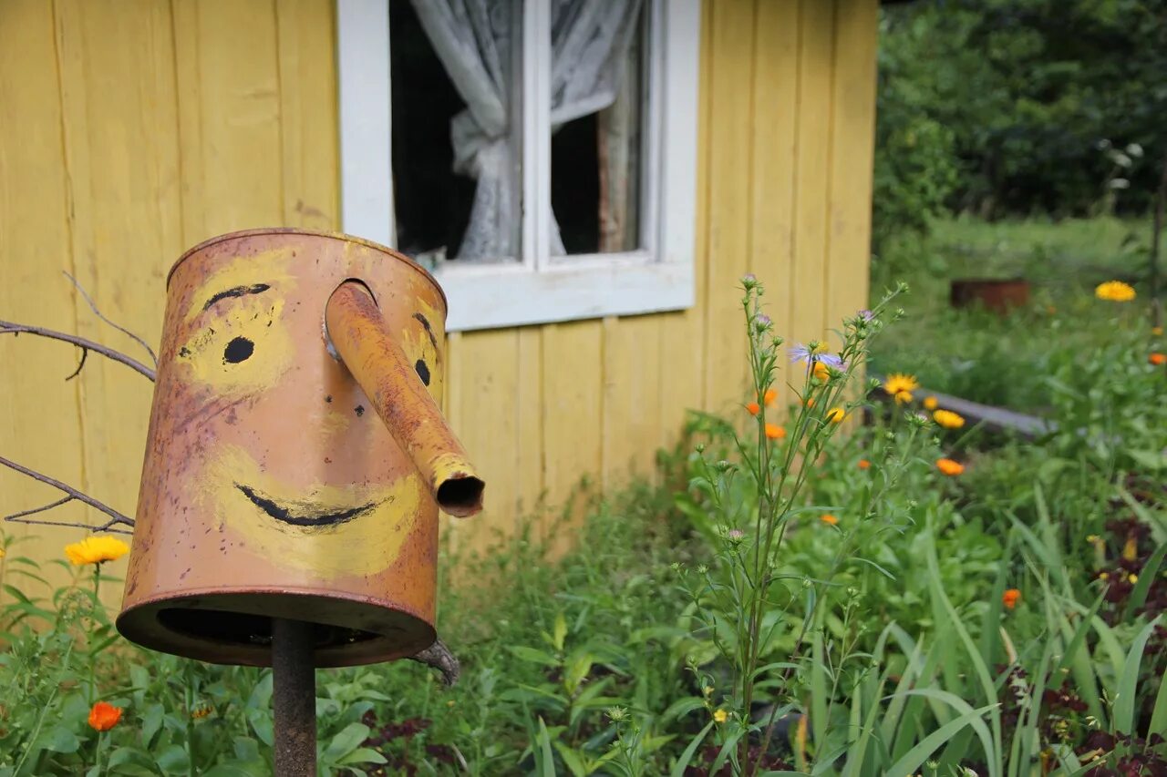 Дача прикольно. Прикольная дача. Домик из лейки. Смешные ведра для огорода.