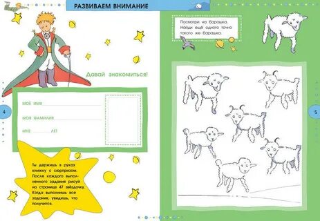 Маленький принц задания