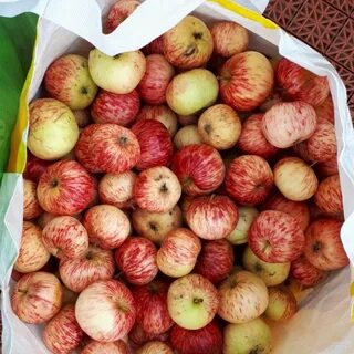 Бабушкины яблоки