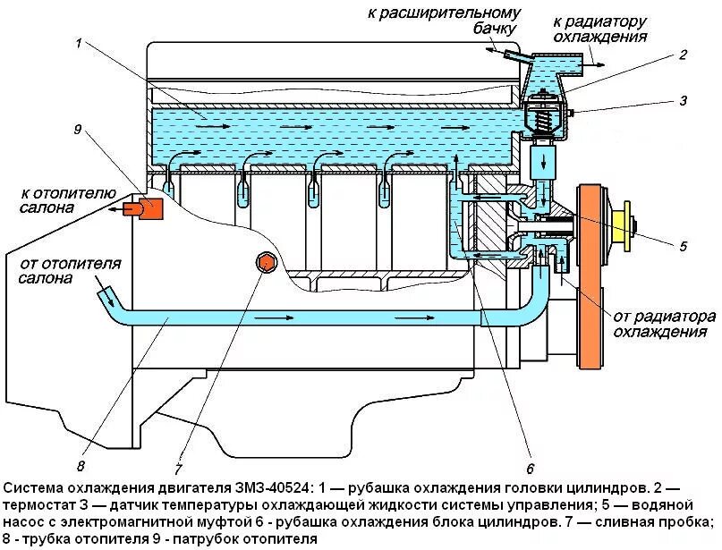 Система охлаждения 405 евро 3 схема. Система охлаждения 406 мотор. Система охлаждения 405 двигатель Газель инжектор. Система охлаждения 405 двигателя евро 2. Система охлаждения дв